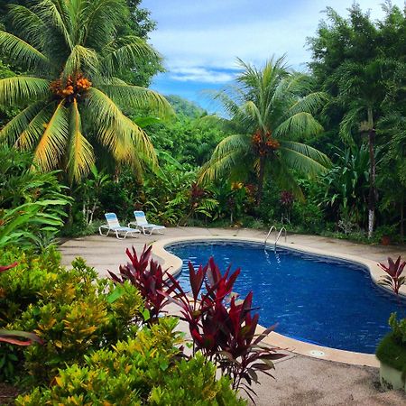Star Mountain Jungle Lodge & Horse Ranch 马尔帕伊斯 外观 照片