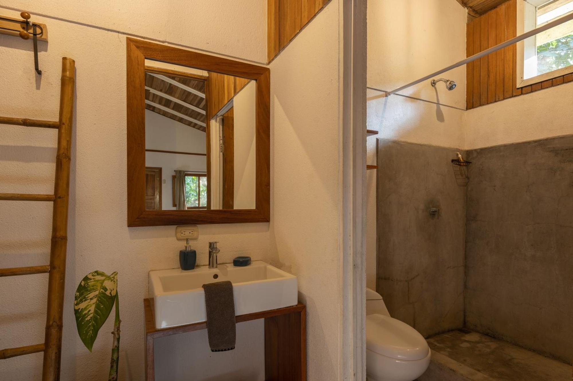 Star Mountain Jungle Lodge & Horse Ranch 马尔帕伊斯 外观 照片