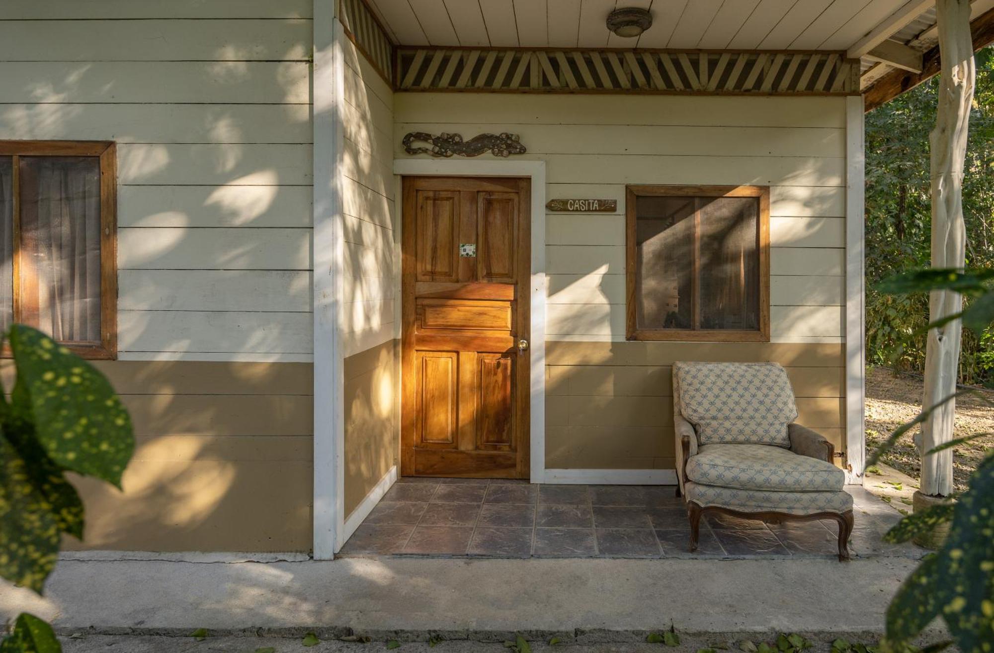 Star Mountain Jungle Lodge & Horse Ranch 马尔帕伊斯 外观 照片