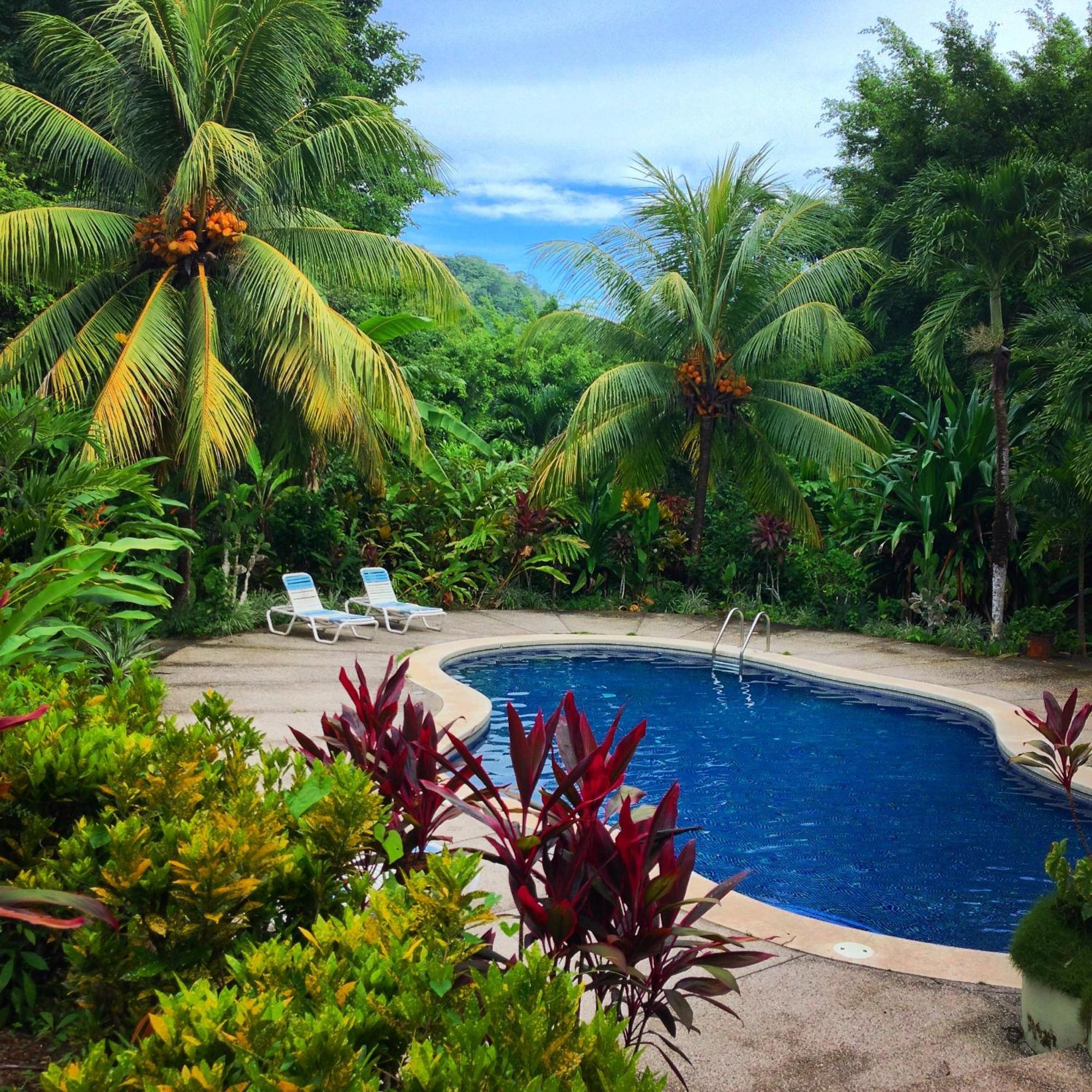Star Mountain Jungle Lodge & Horse Ranch 马尔帕伊斯 外观 照片