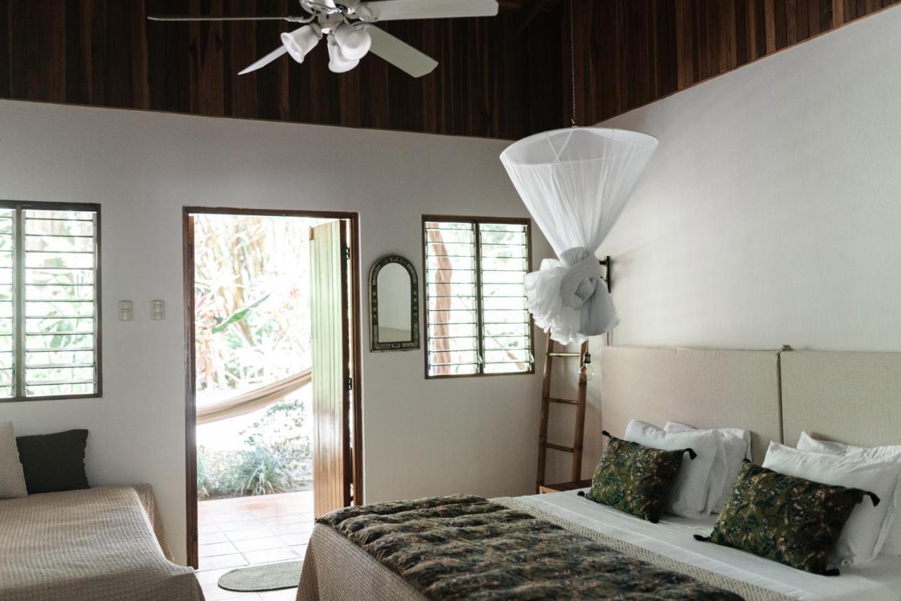 Star Mountain Jungle Lodge & Horse Ranch 马尔帕伊斯 外观 照片