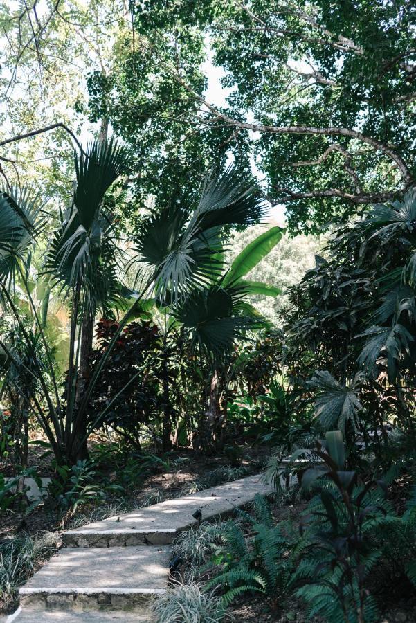 Star Mountain Jungle Lodge & Horse Ranch 马尔帕伊斯 外观 照片