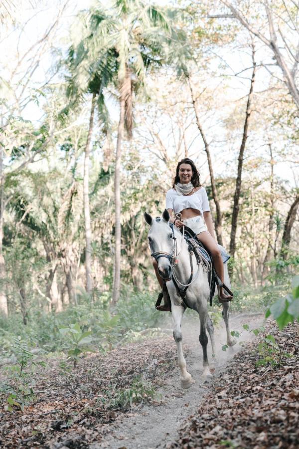 Star Mountain Jungle Lodge & Horse Ranch 马尔帕伊斯 外观 照片