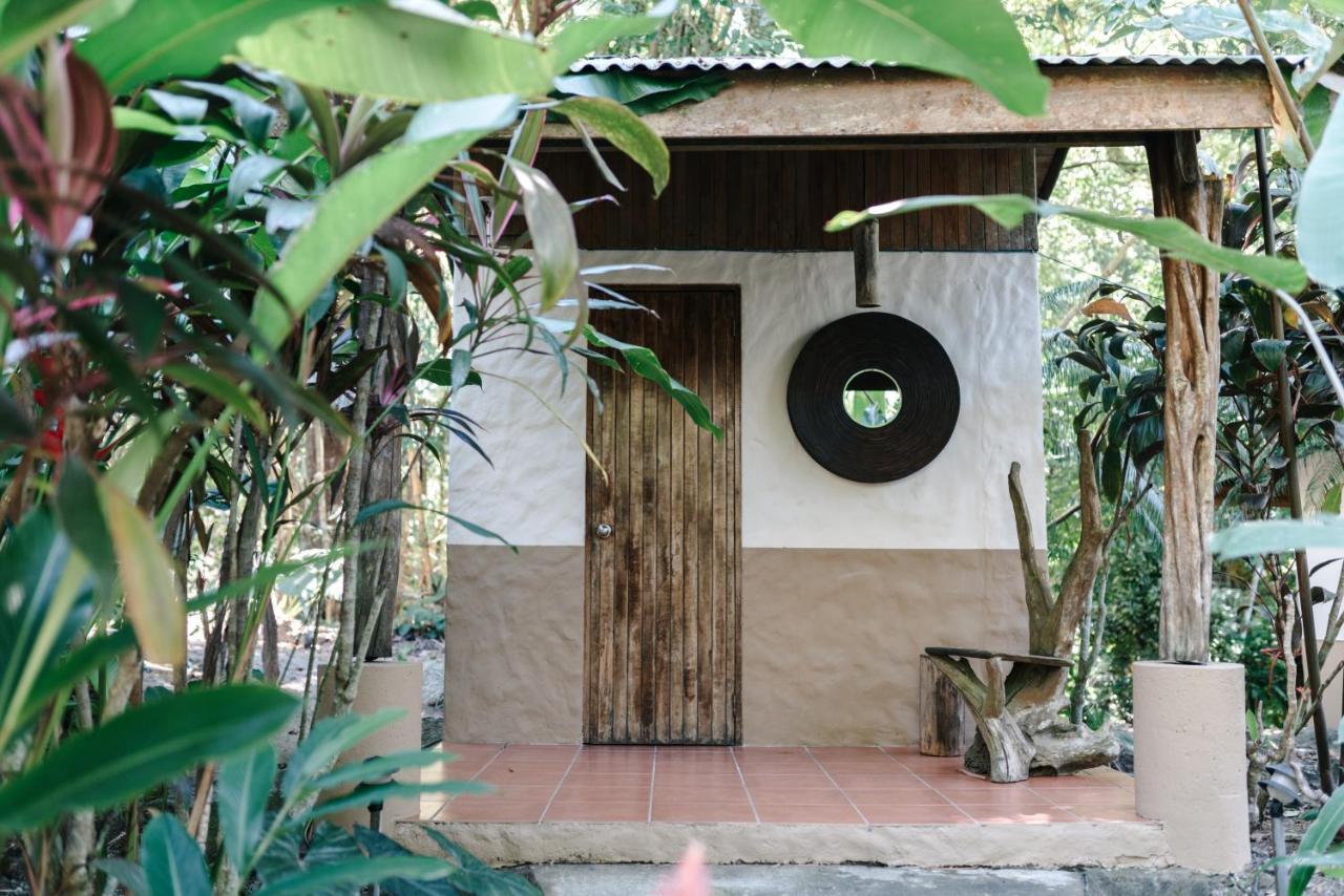 Star Mountain Jungle Lodge & Horse Ranch 马尔帕伊斯 外观 照片