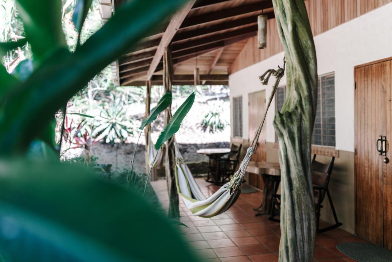 Star Mountain Jungle Lodge & Horse Ranch 马尔帕伊斯 外观 照片