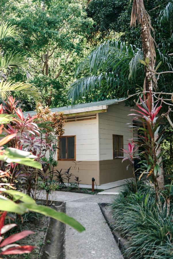 Star Mountain Jungle Lodge & Horse Ranch 马尔帕伊斯 外观 照片